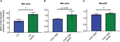 Deletion of an immune evasion gene, steD, from a live Salmonella enterica serovar Typhimurium vaccine improves vaccine responses in aged mice